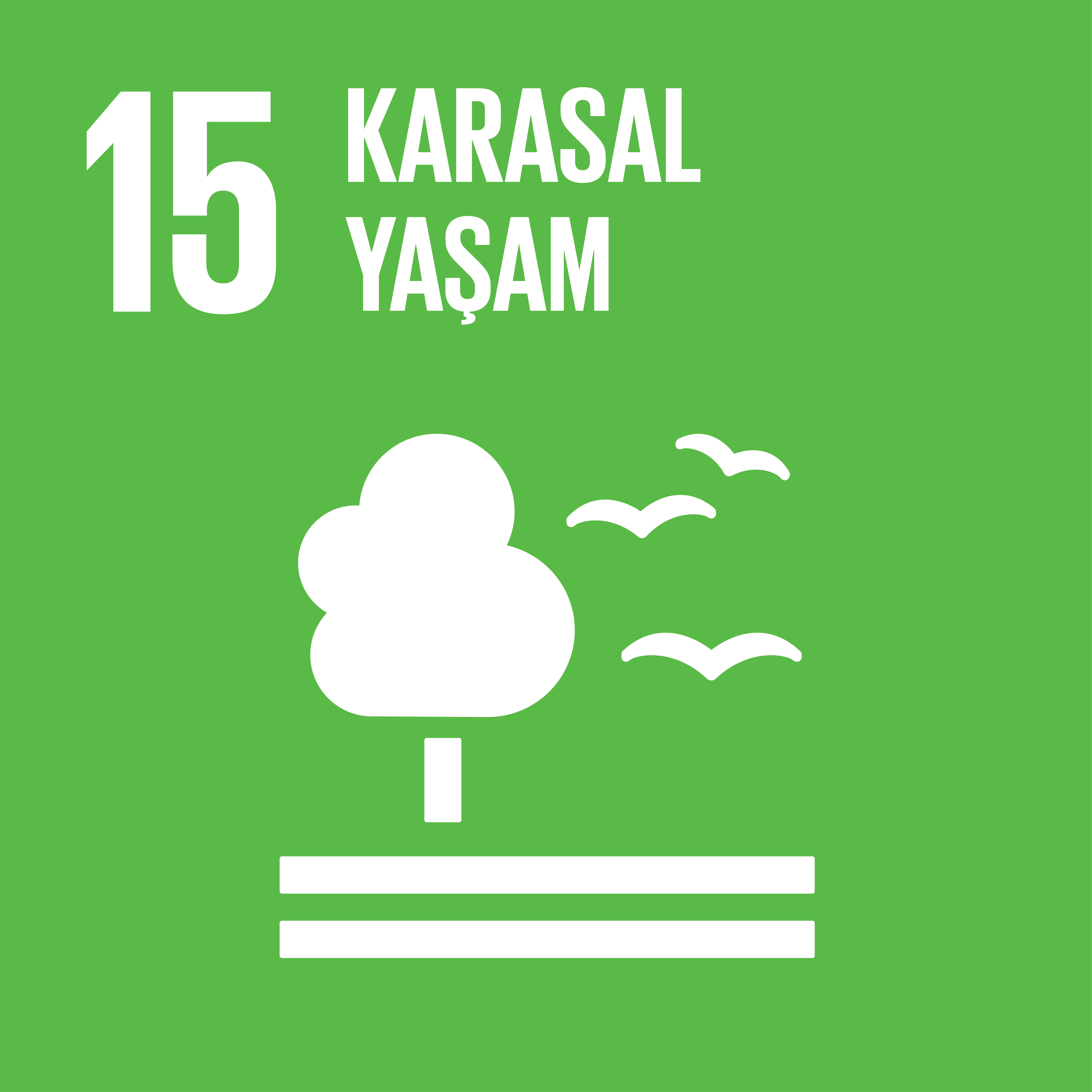 SDG15