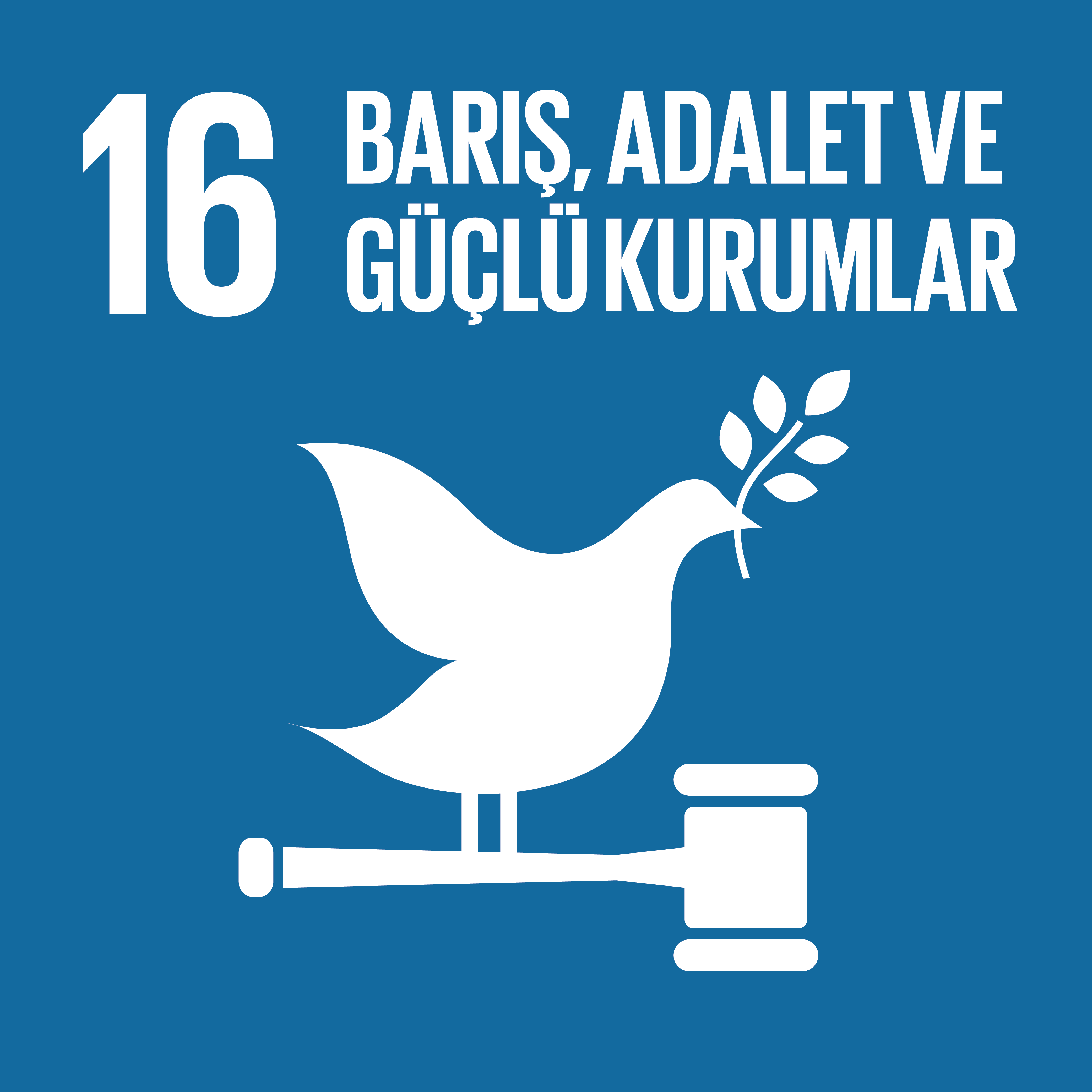 SDG16